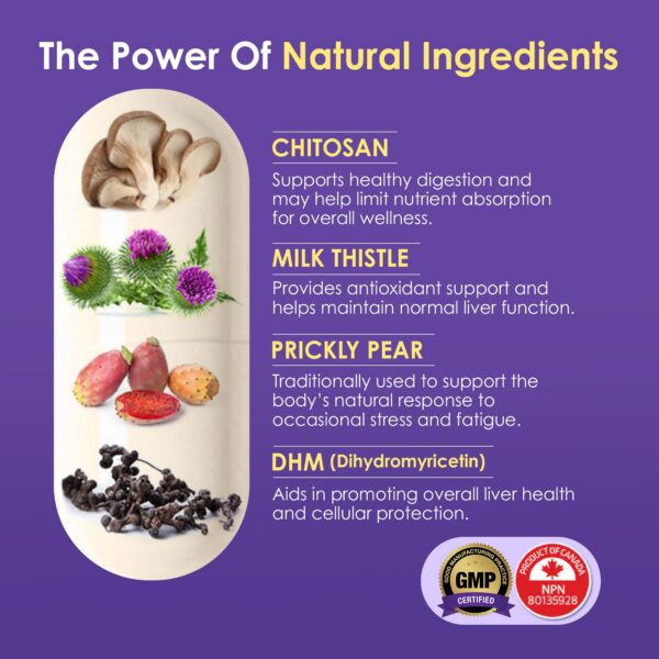 Cápsulas con alta concentración de silimarina Rocky Morning