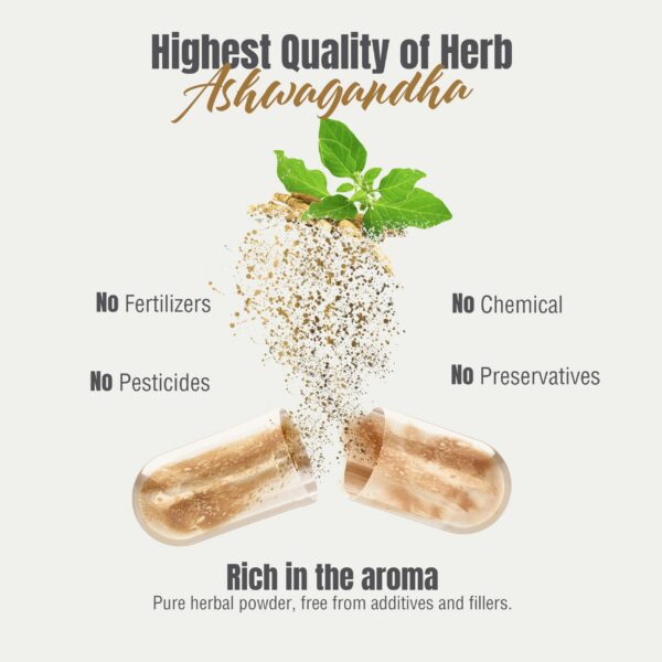 Cápsulas Ashwagandha Herbsforever 800mg para energía y rendimiento