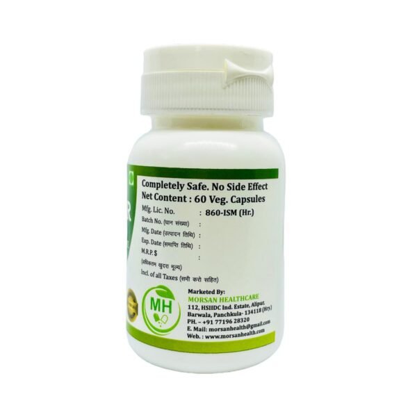 Cápsulas de bienestar herbal Gymnema Sylvestre Morsan