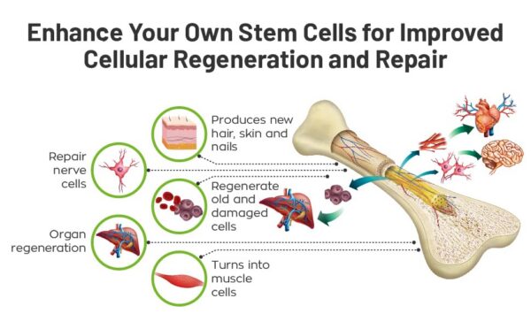 Cápsulas blancas de suplementación stemforte en una mano