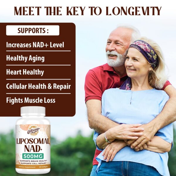 Cápsulas blandas liposomales NAD+ máxima absorción