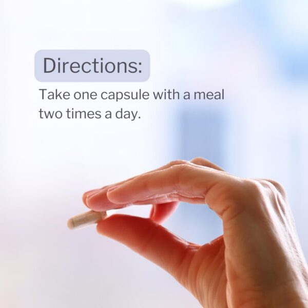 Cápsulas Calm Mood Kyolic presentadas para venta