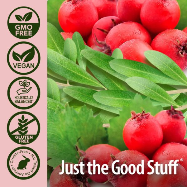 Imagen de cápsulas de CardiMax Nature's Answer