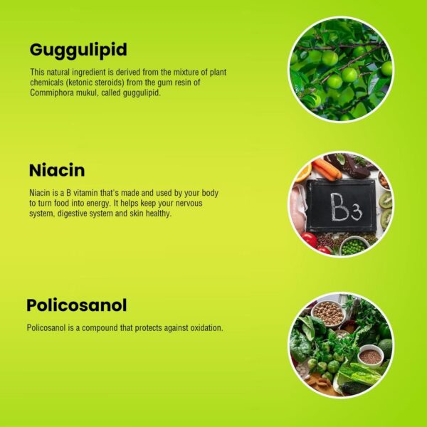 Version 1.0.0 Cápsulas CoQ10 en paquete New Health Plus