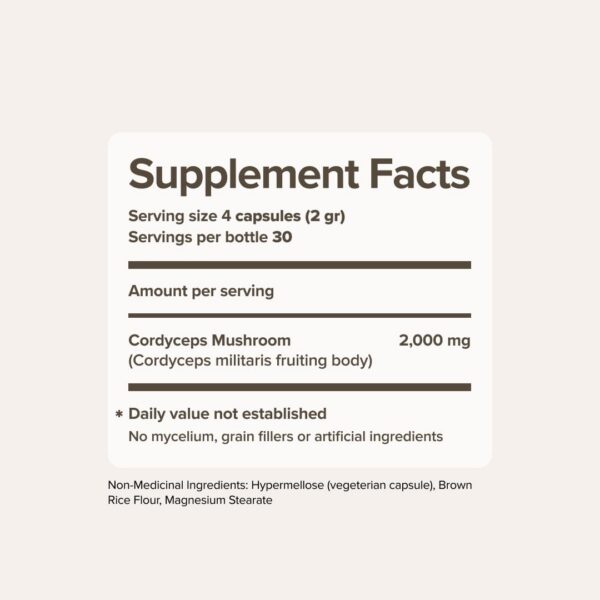 Cápsulas de Cordyceps - Ingredientes orgánicos
