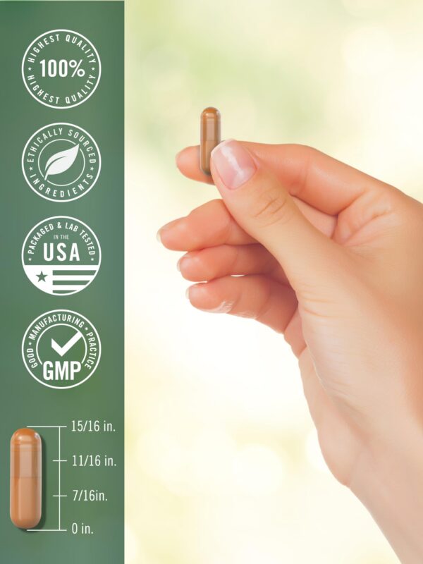 Cápsulas cúrcuma 3000mg composición avanzada saludable