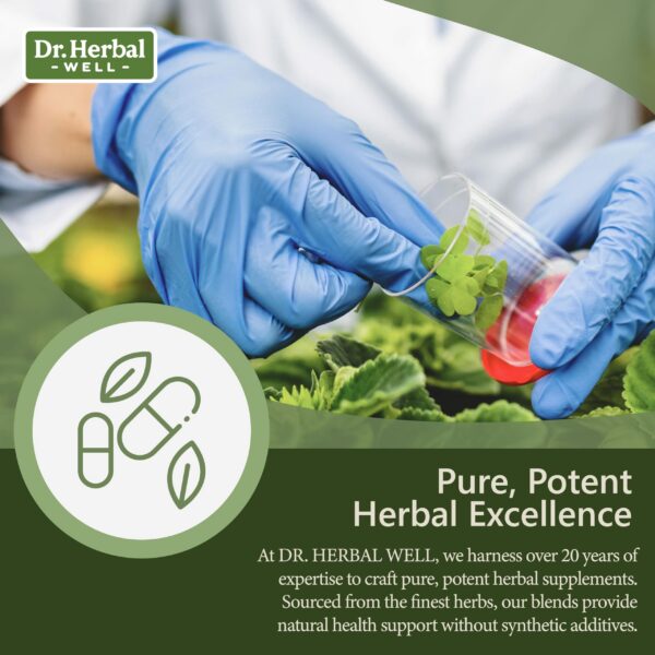 Version 1.0.0 Cápsulas DR HERBAL WELL glucosa con ginseng sin minerales añadidos