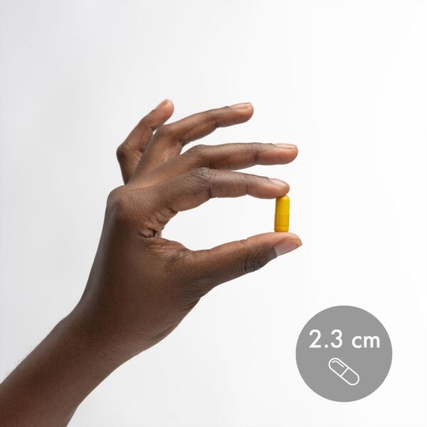 Suplemento Dr Mercola curcumina con curcuminoides naturales