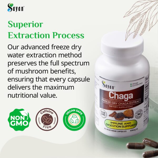 Cápsulas de extracto de champiñón chaga siberiano natural