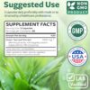 Cápsulas extracto té verde para apoyo antioxidante metabolismo