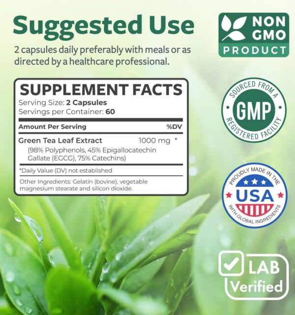 Cápsulas extracto té verde para apoyo antioxidante metabolismo