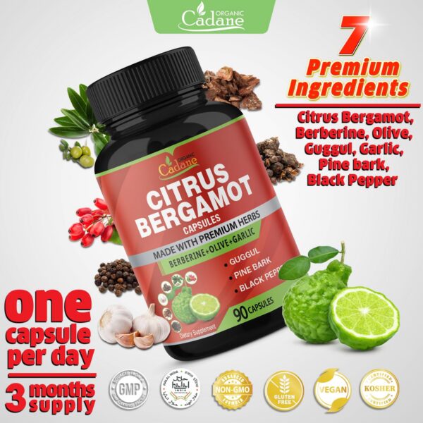 Version 1.0.0 Cápsulas de suplemento natural para salud diaria 90 unidades