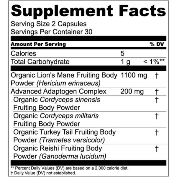 Cápsulas para foco memoria salud inmunológica Live Conscious