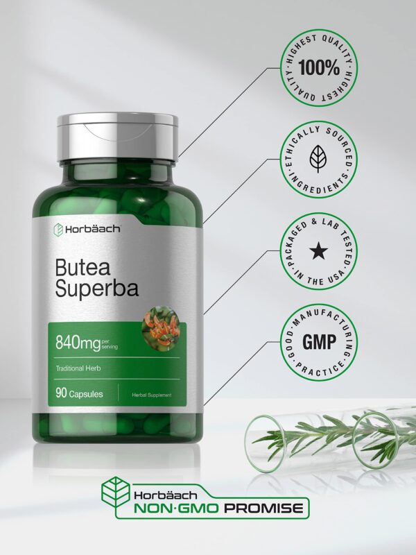 Cápsulas en frasco Horbäach Butea Superba 840mg