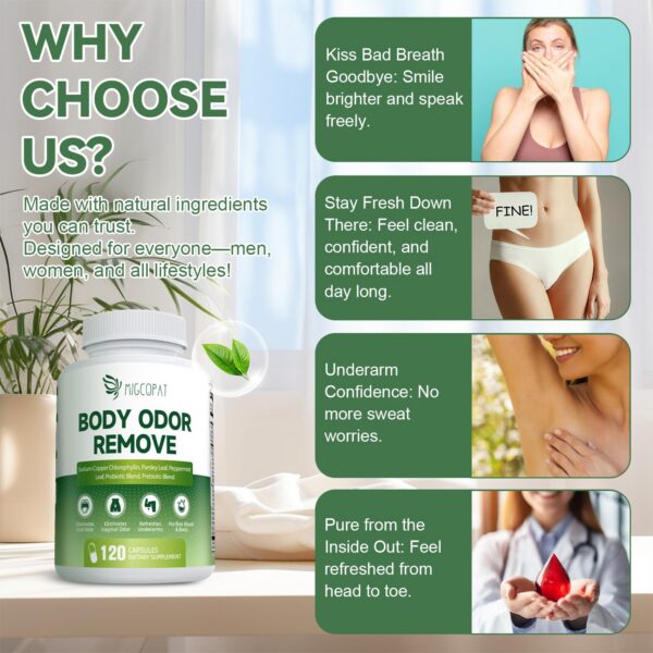 Version 1.0.0 Cápsulas para frescura y salud digestiva Migcopat