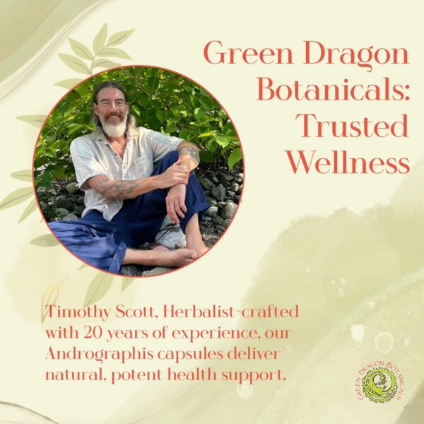 Version 1.0.0 Cápsulas Green Dragon suplemento herbáceo natural