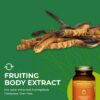 Cápsulas healthforce superfoods extracto de cordyceps
