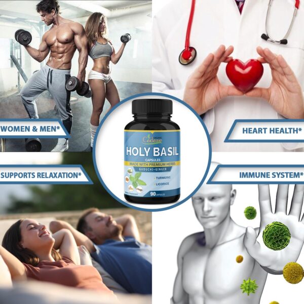 Cápsulas vegetarianas albahaca santa y guduchi orgánico