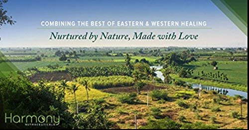 Version 1.0.0 Cápsulas jengibre para salud respiratoria y digestiva