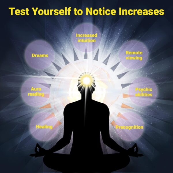 Version 1.0.0 Cápsulas Kailash Herbals Haritaki para espiritualidad y memoria