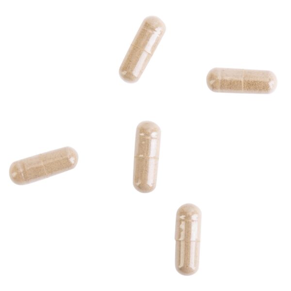 Cápsulas Kroeger Herbs para apoyo inmunológico y antioxidantes