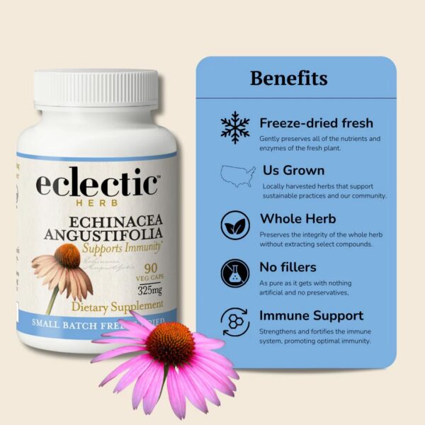 Cápsulas liofilizadas Echinacea ECLECTIC INSTITUTE close up