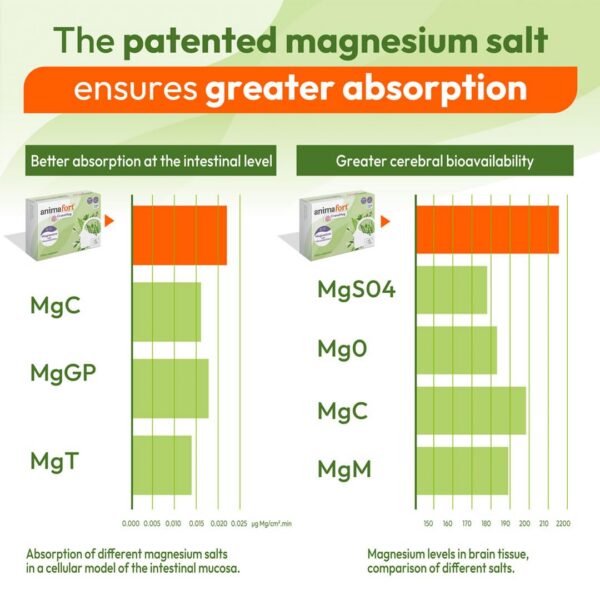 Version 1.0.0 Cápsulas de Magnesio y vitaminas