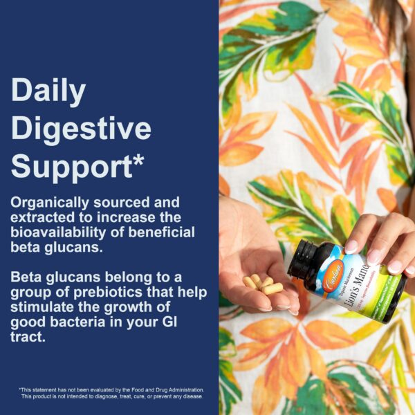 Cápsulas de Melena de León orgánica para función cognitiva Carlson