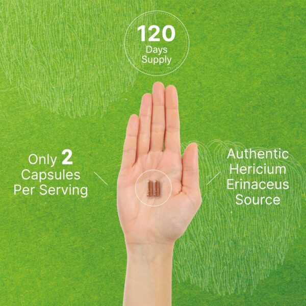 Cápsulas melena de león sin gluten ni alérgenos comunes