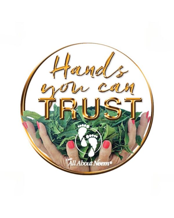 Paquete de 120 cápsulas veganas de moringa para mejorar metabolismo