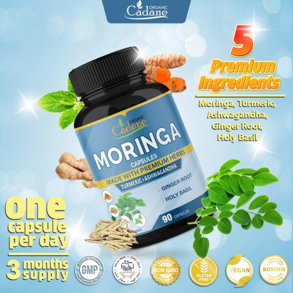 Capsulas Moringa veganas sin gluten ni OGM