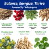 Cápsulas naturales 1 Body Ashwagandha para rendimiento físico