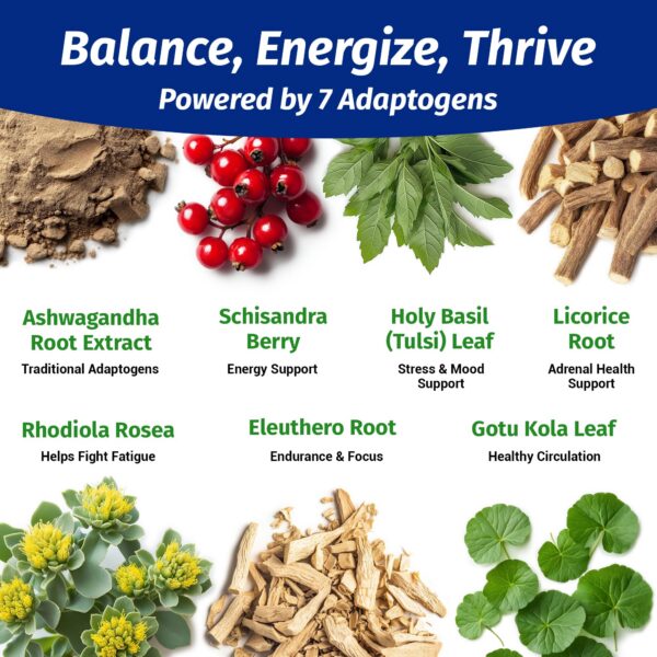 Cápsulas naturales 1 Body Ashwagandha para rendimiento físico