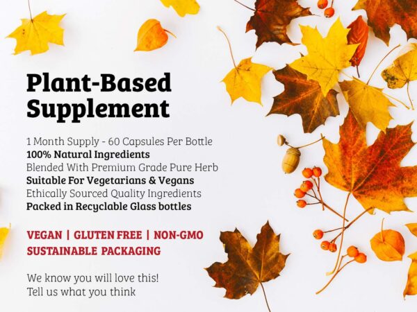 Version 1.0.0 Cápsulas naturales de neem y cúrcuma DR WAKDE'S