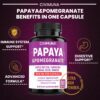 Cápsulas naturales papaya CIVIMUNA sabor pura naturaleza