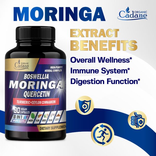 Cápsulas naturales suplemento Cadane Moringa hoja