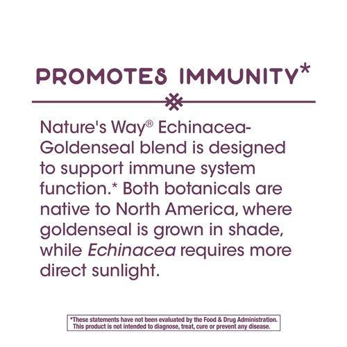 Version 1.0.0 Cápsulas de Nature's Way Echinacea Goldenseal suplemento