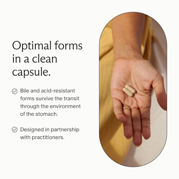 Version 1.0.0 Cápsulas Needed probiótico para fortaleza inmunológica