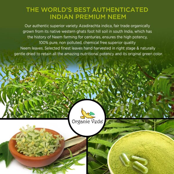 Cápsulas neem orgánico para salud y bienestar