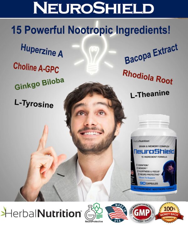 Version 1.0.0 Ingredientes naturales antioxidantes en NeuroShield para salud cerebral