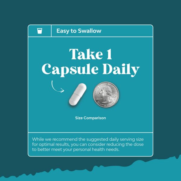 Version 1.0.0 Cápsulas de niacinamida 500mg para mitocondrias y piel sana