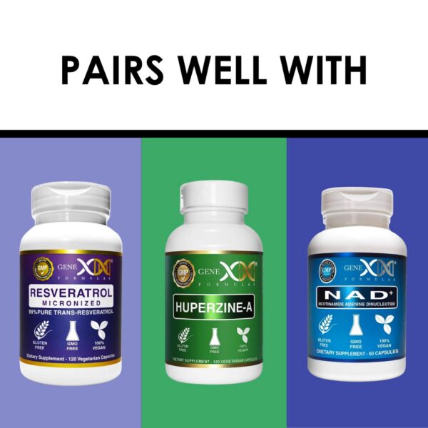 Cápsulas nootrópicas Genex Formulas Lions Mane