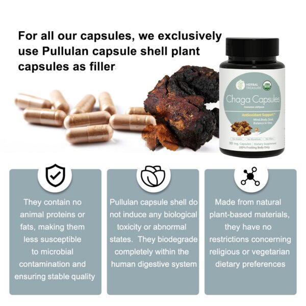 Capsulas de polvo chaga para soporte inmunológico y energía