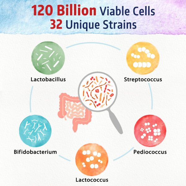 cápsulas probióticas para mejorar digestión y sistema inmune