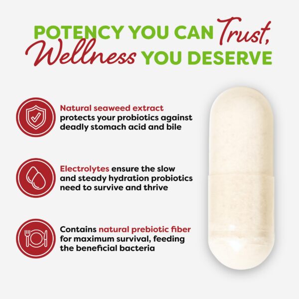 Probiótico natural Probulin con mezcla de 12 cepas y prebióticos