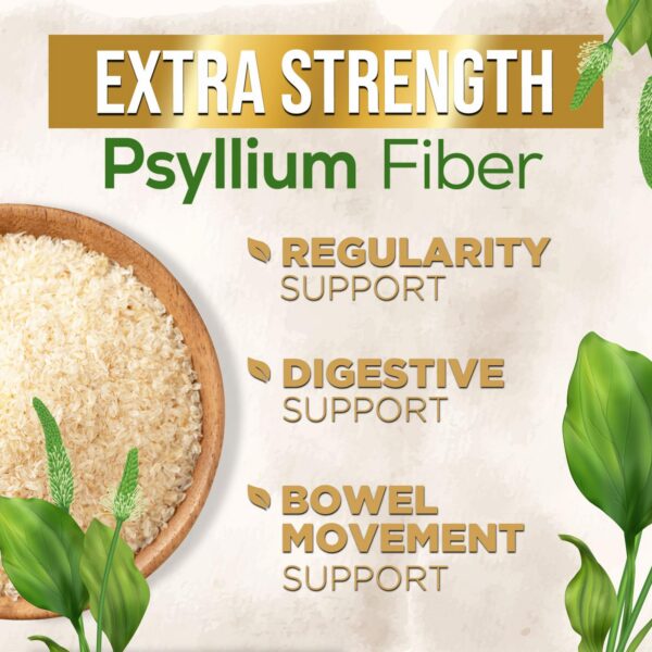 Cápsulas Psyllium Husk sin gluten, no GMO para salud intestinal