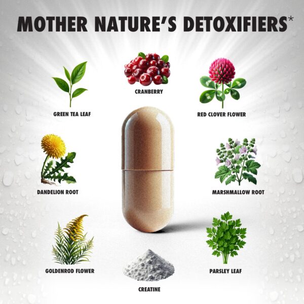 Cápsulas Rescue Detox ICE Shot al detalle