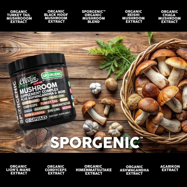 Cápsulas para salud digestiva y nerviosa Sporgenic Clean Nutra