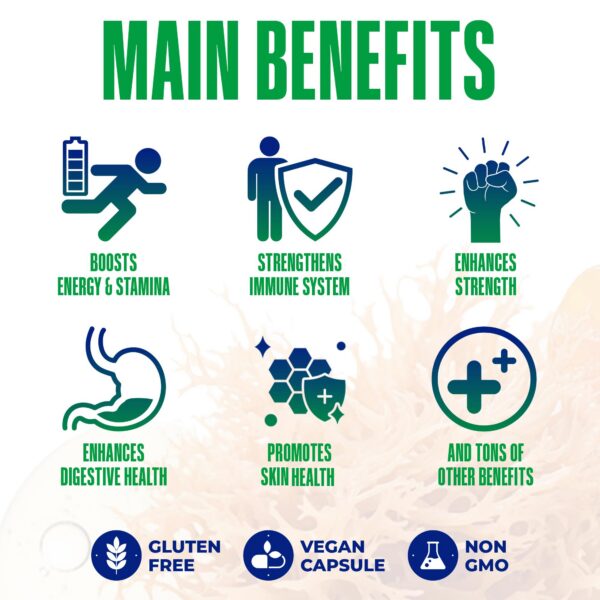 Cápsulas Sea Moss para soporte nutricional completo diario