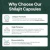 Cápsulas de shilajit veganas para salud ósea y hormonal